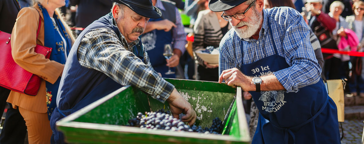 #harvest19: The spectacle
